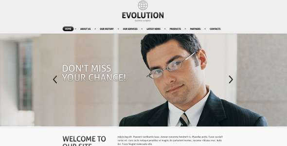 Free Business and Services WordPress CMS Responsive Template